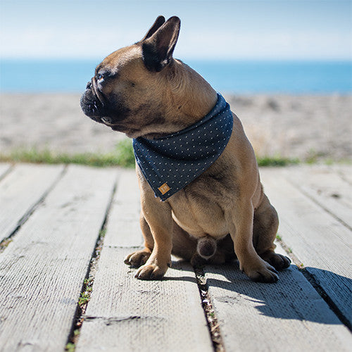 TREND ALERT: DENIM ON DENIM
