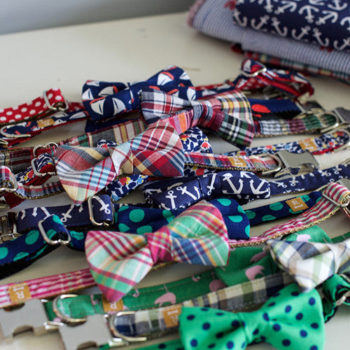 LUCY & CO. COLLABORATION