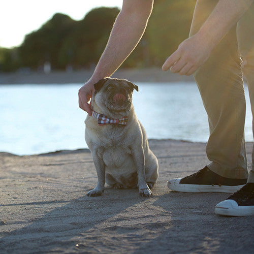 IT'S A FRI-YAY SNEAK PEEK!