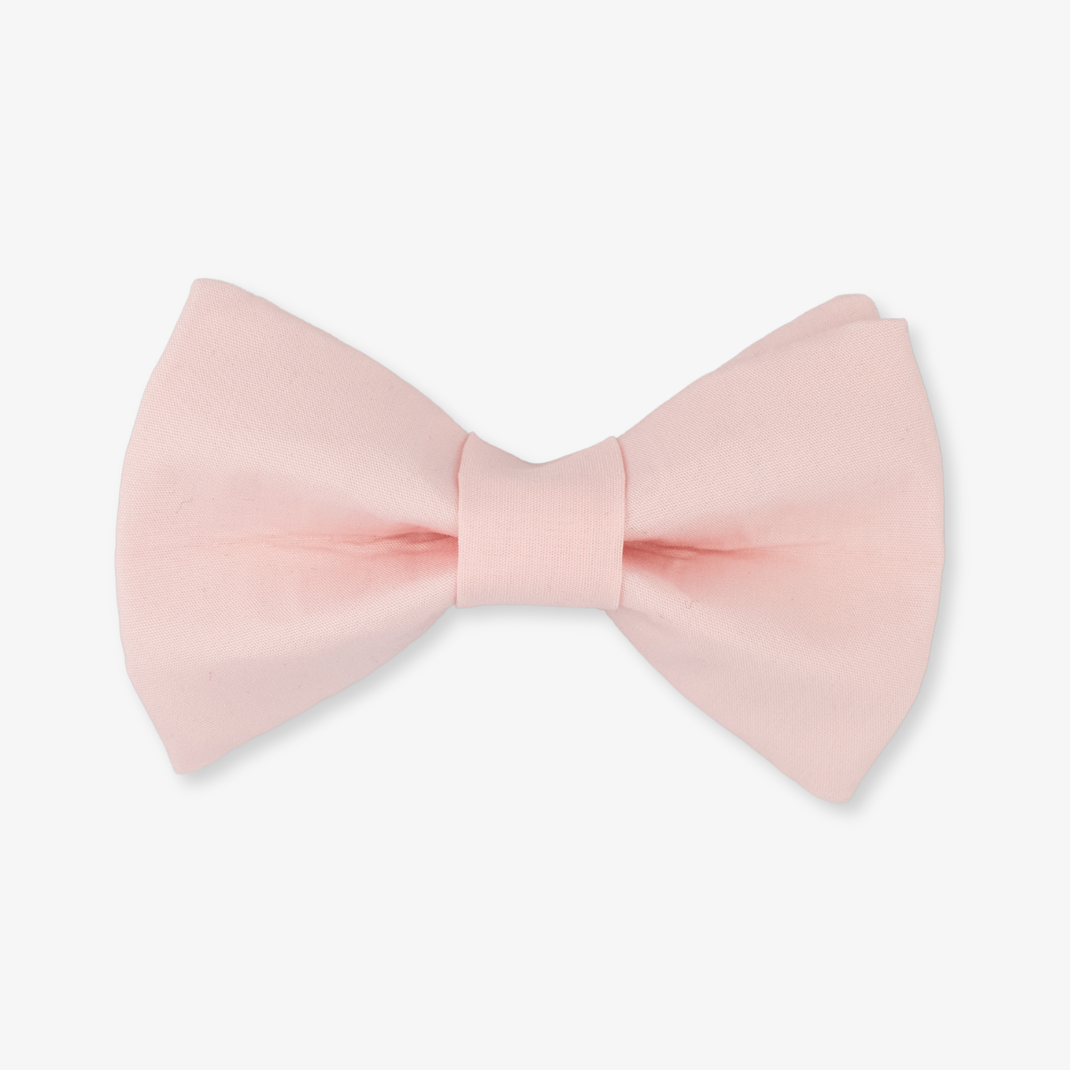 pink dog bow tie