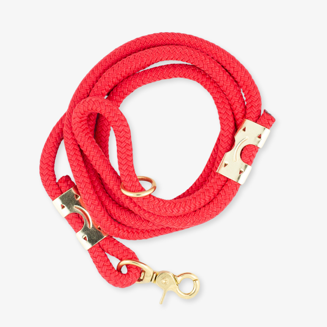 red rope dog leash