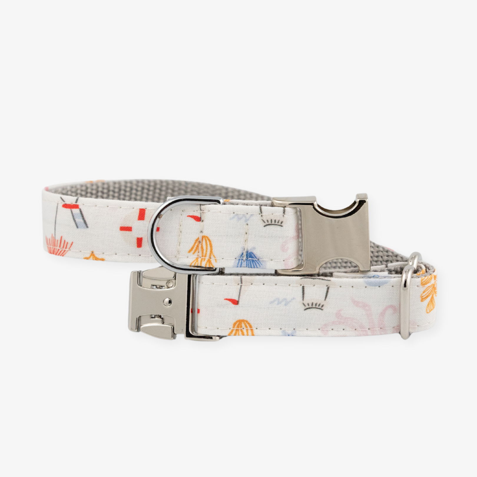 beach dog collar