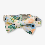 rifle paper co dog collar