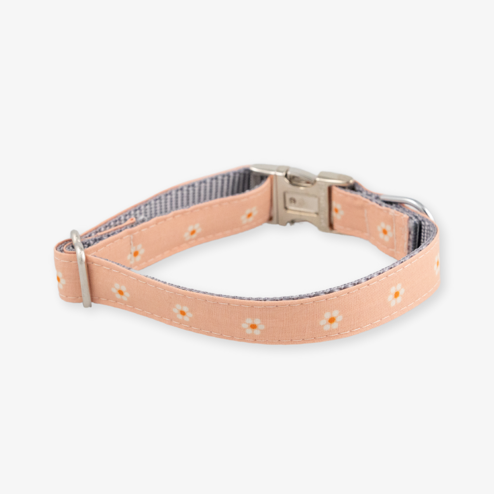 daisy dog collar