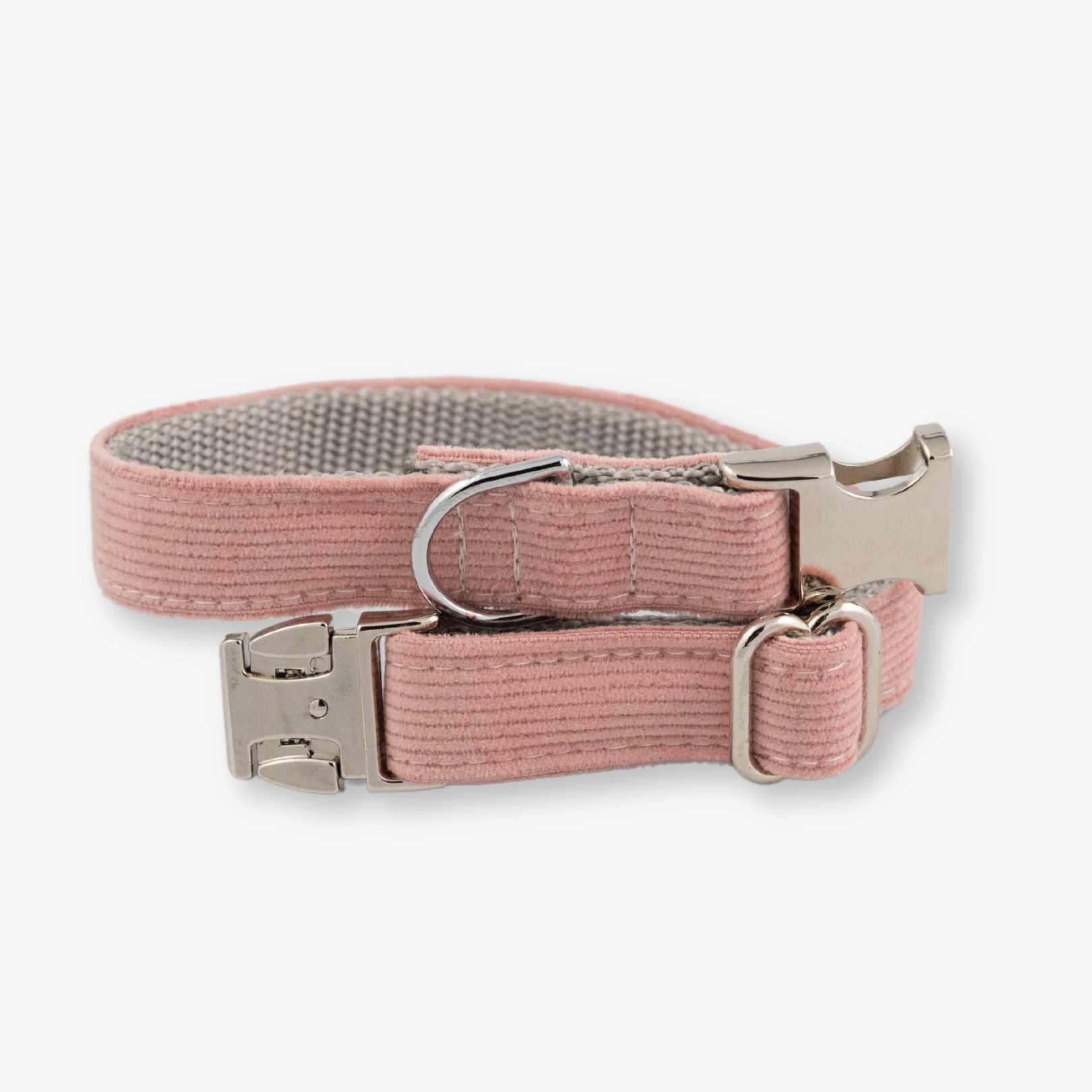 corduroy dog collar