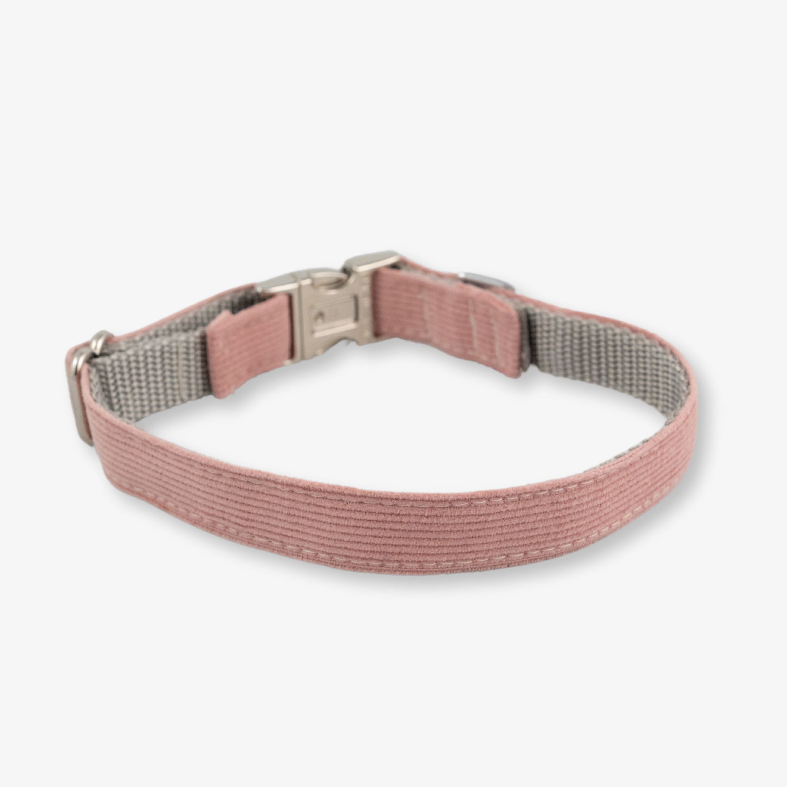 corduroy dog collar