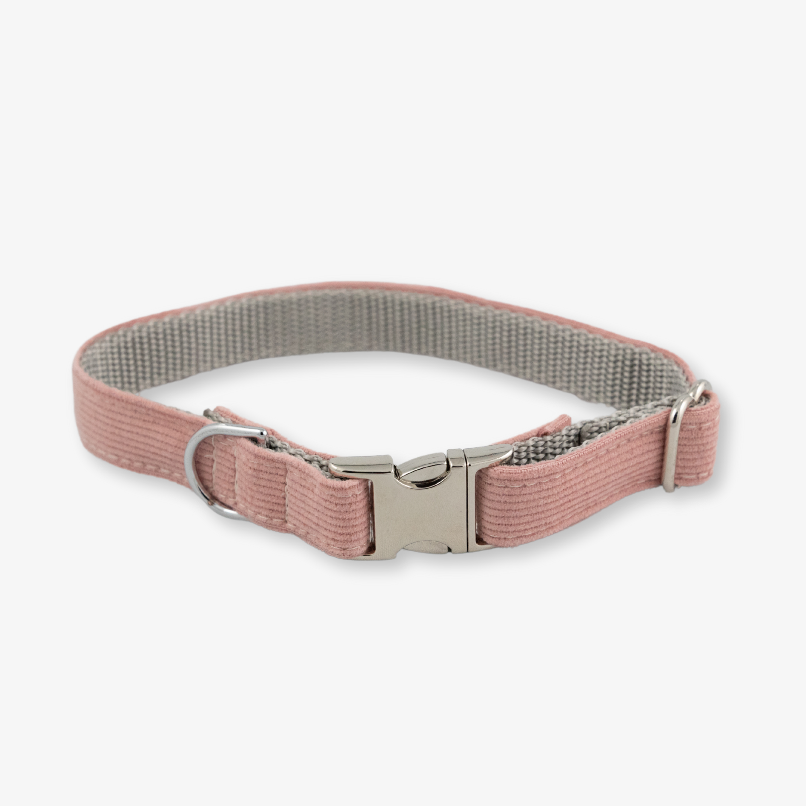 corduroy dog collar