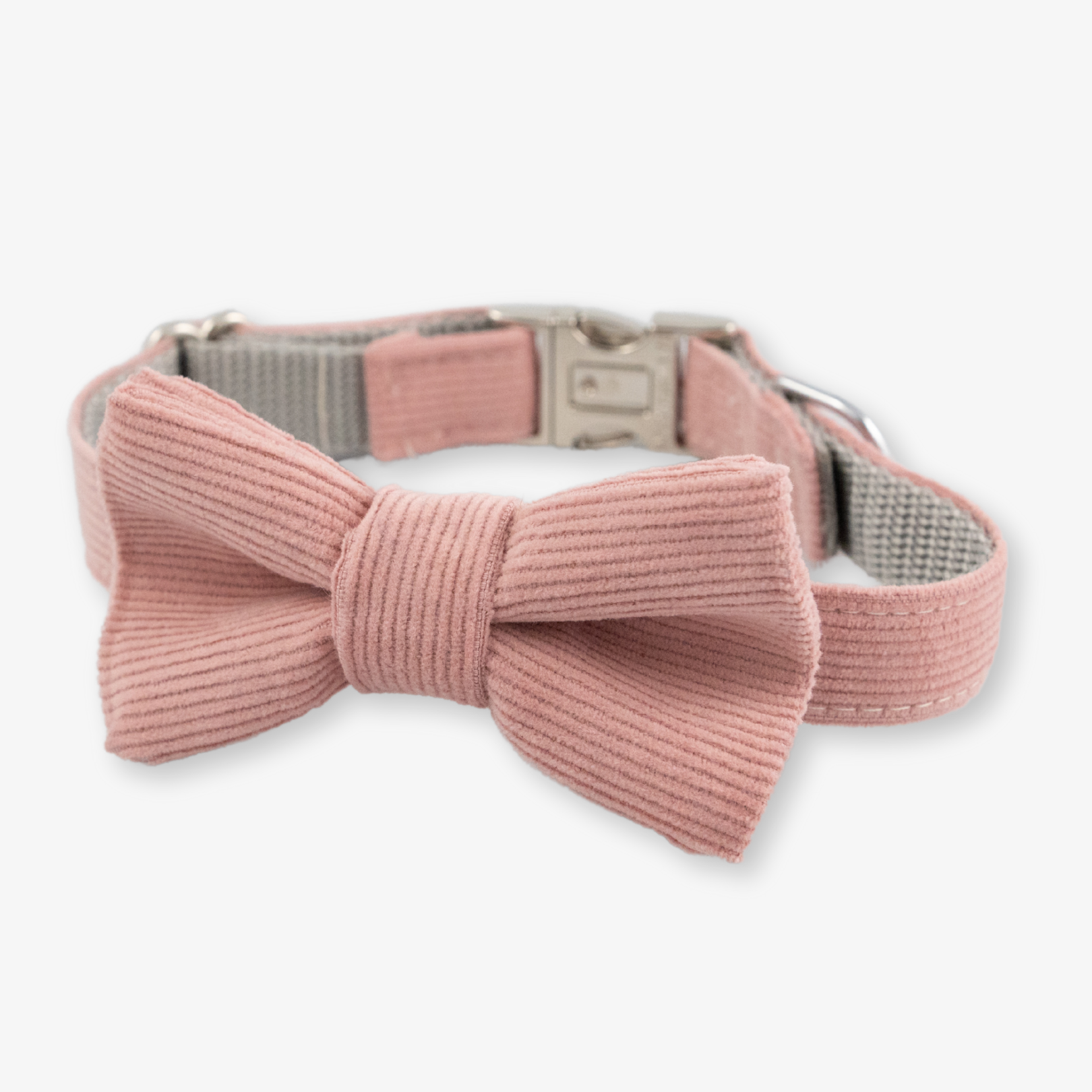 Corduroy dog collar