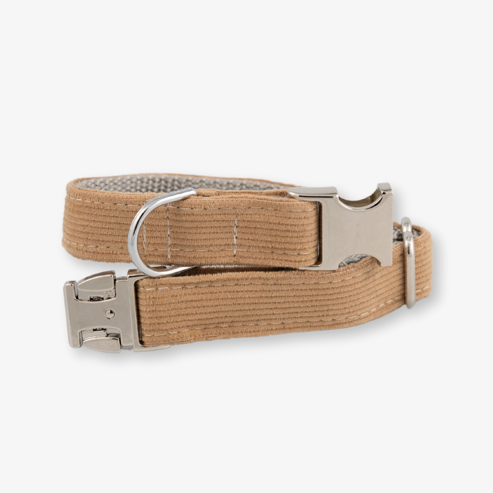 corduroy dog collar