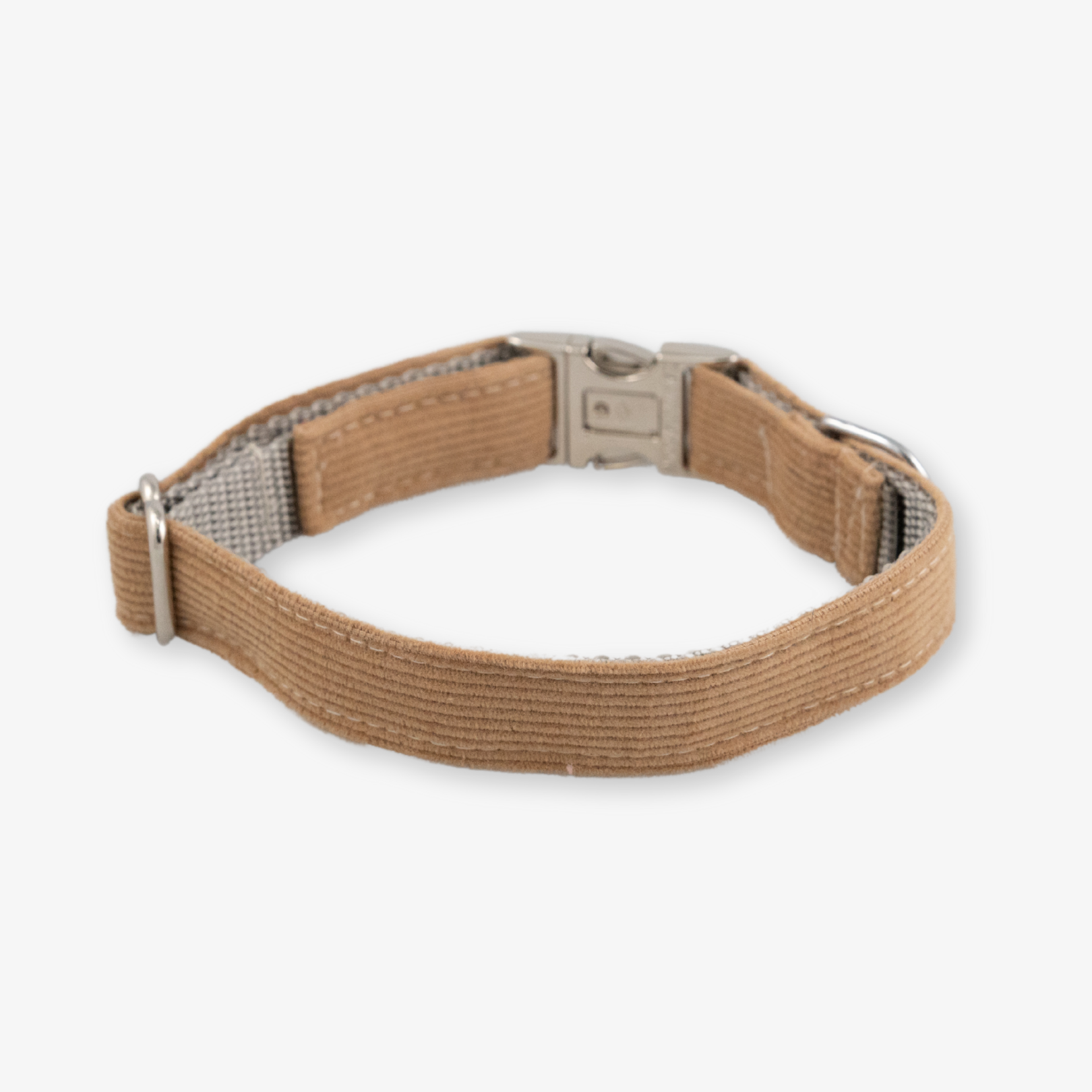 corduroy dog collar