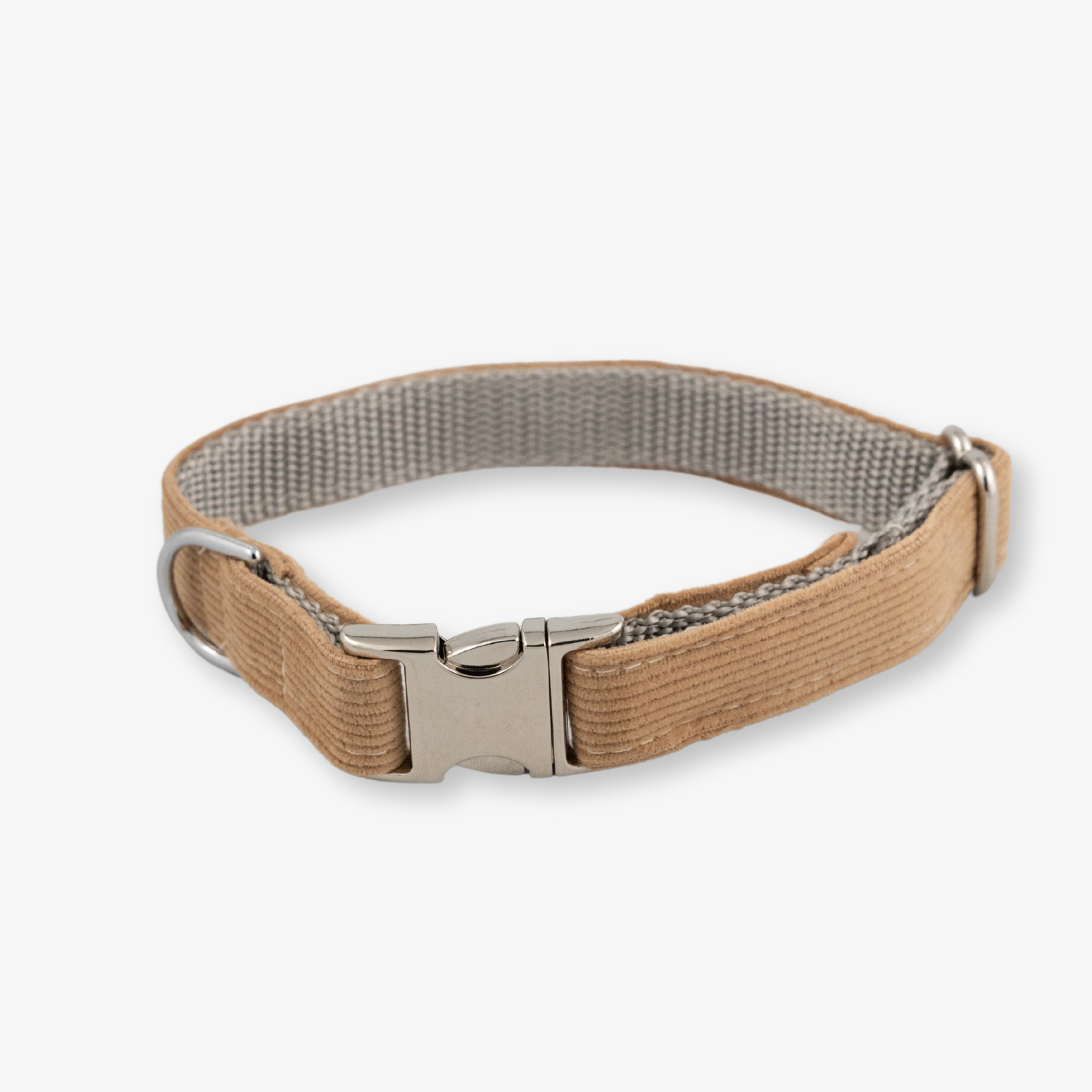 corduroy dog collar