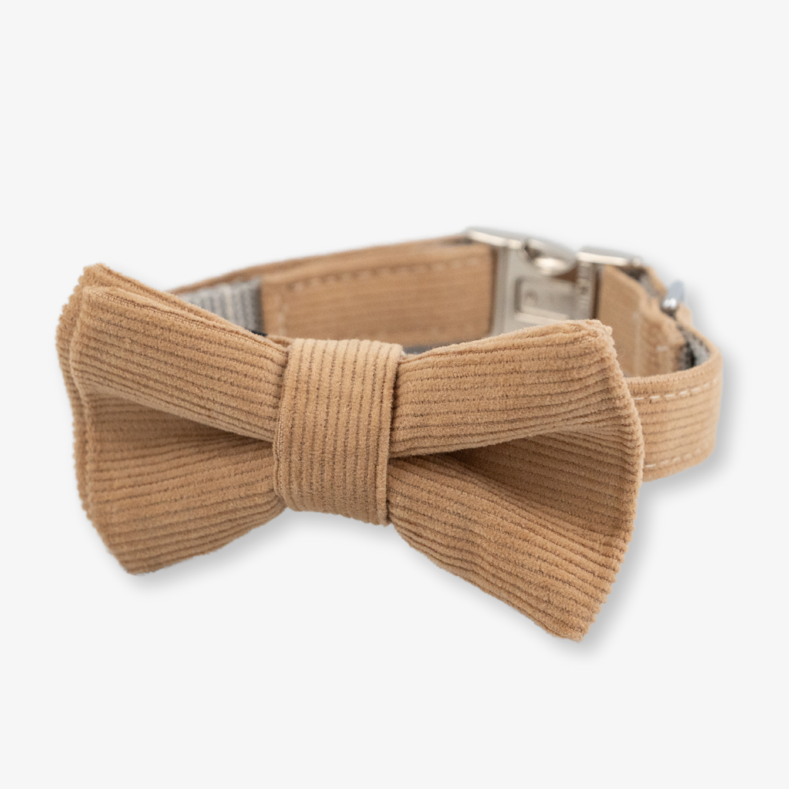 tan Corduroy dog collar