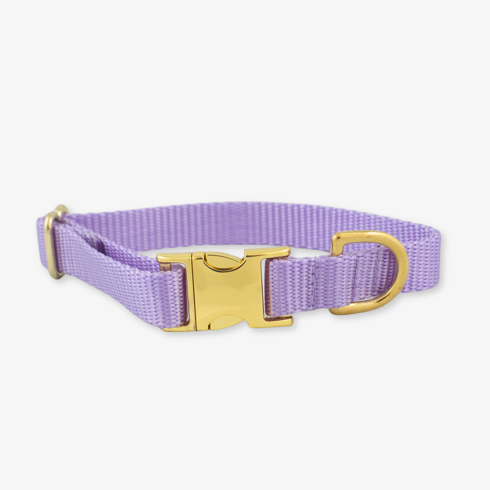 Lilac Dog Collar