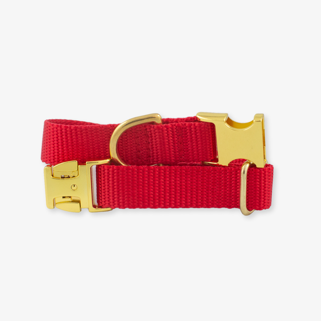 red dog collar