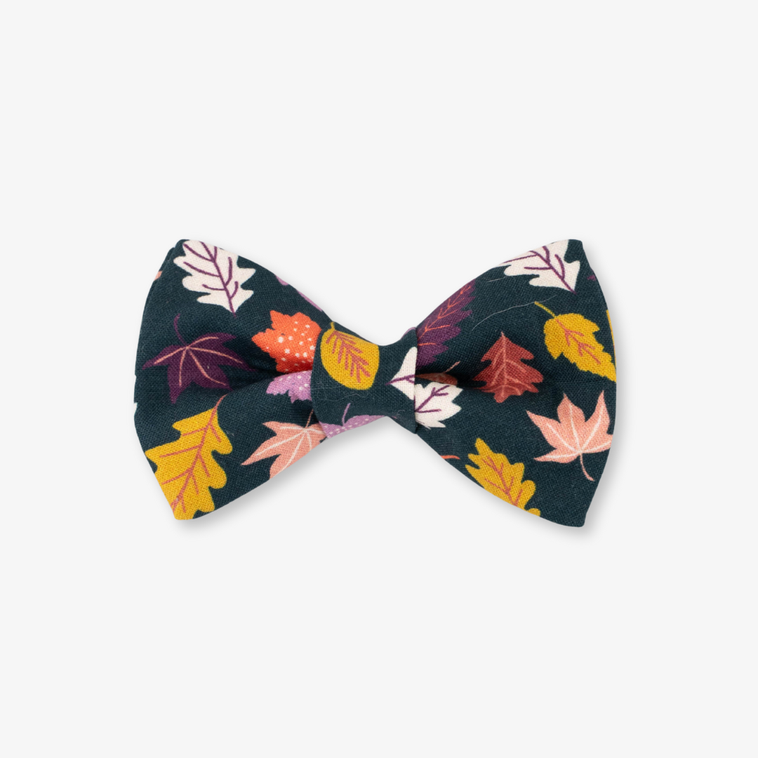 fall dog bow tie