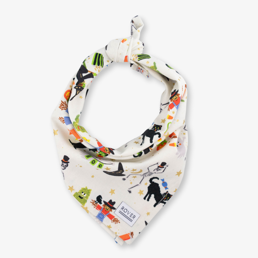 halloween dog bandana