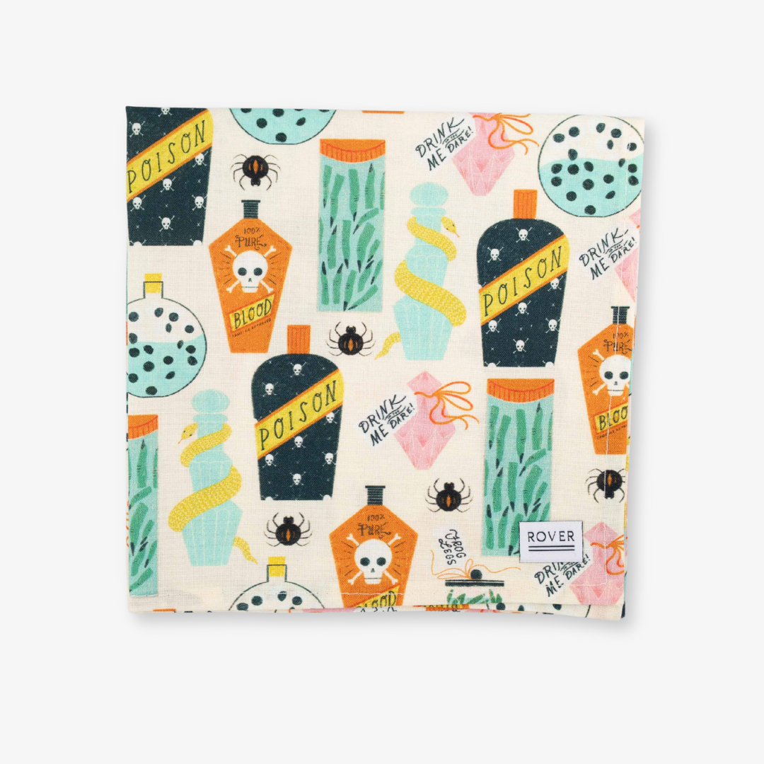 halloween dog bandana