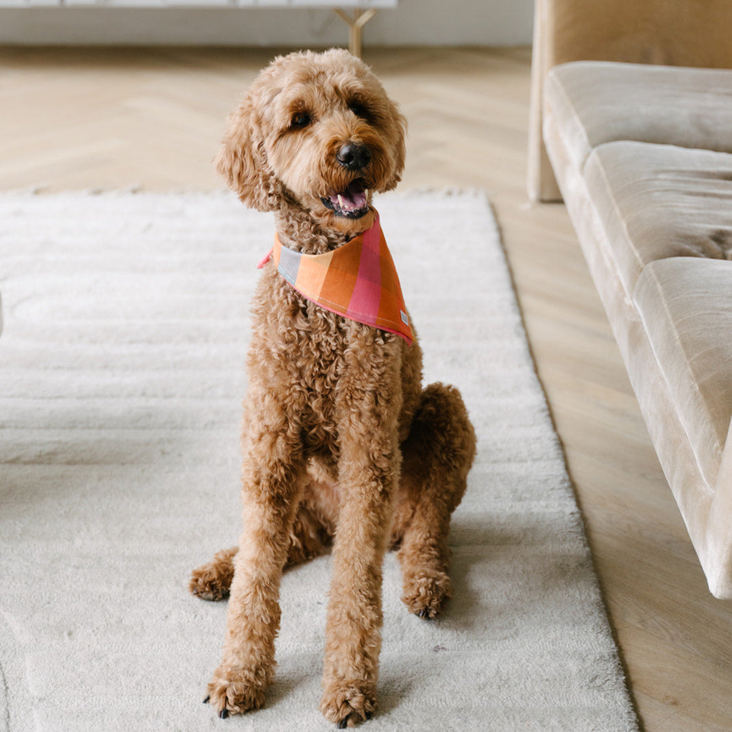 fall plaid dog bandana