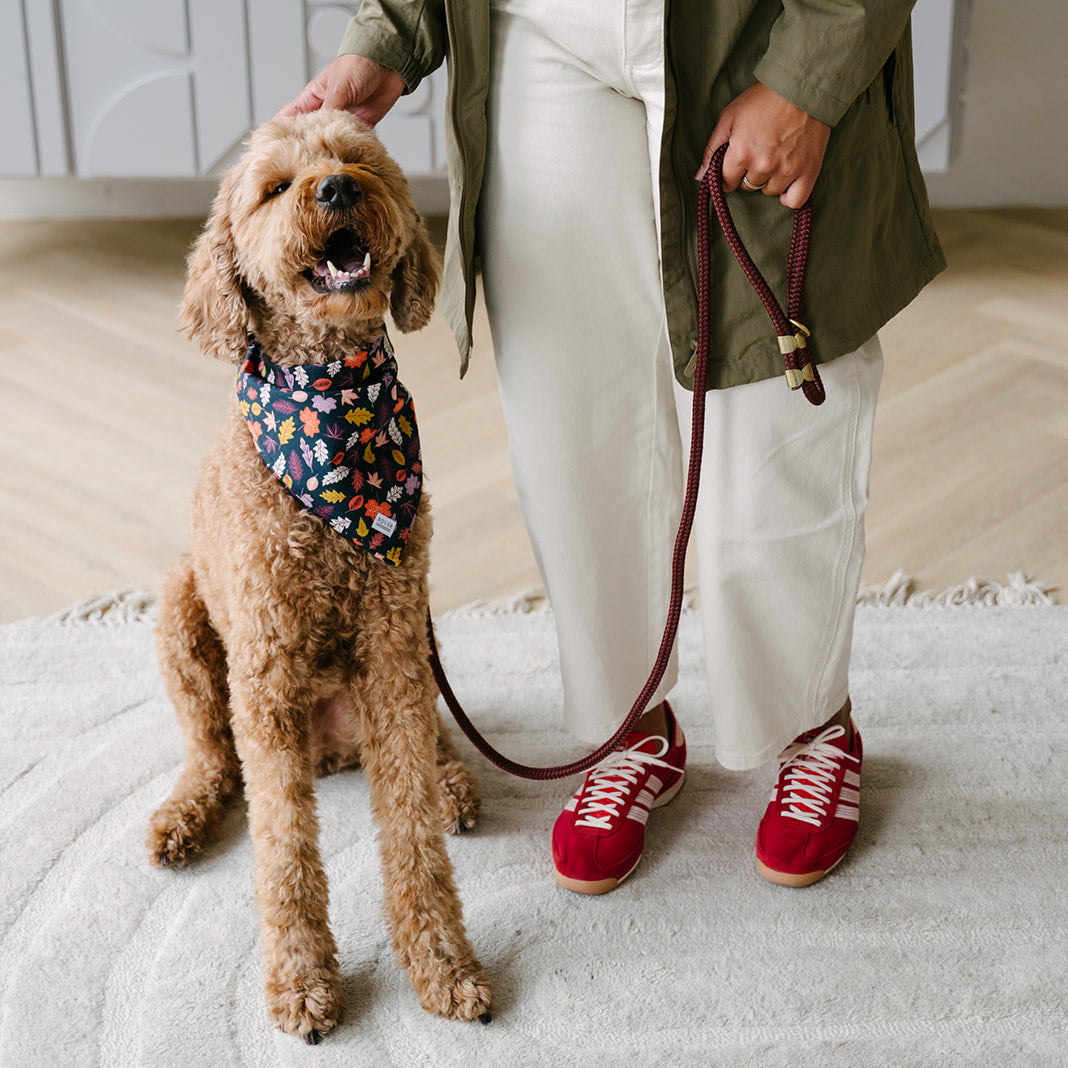 fall leaves dog bandana