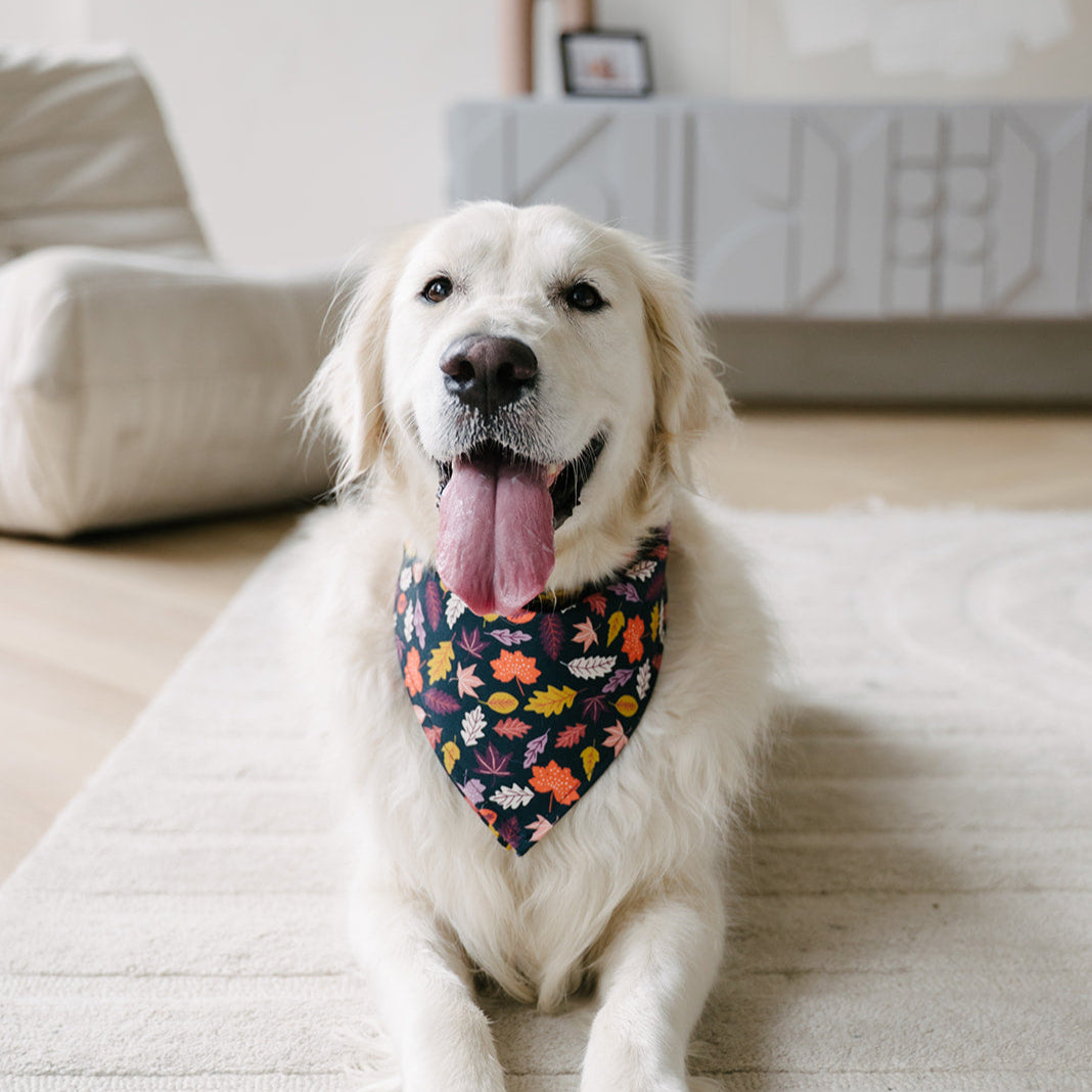 fall leaves dog bandana