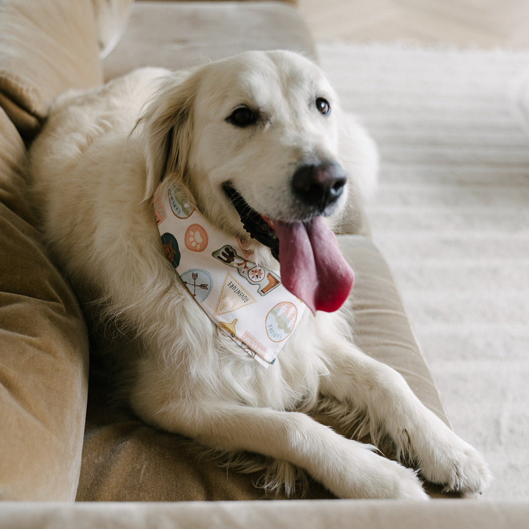 camp dog bandana