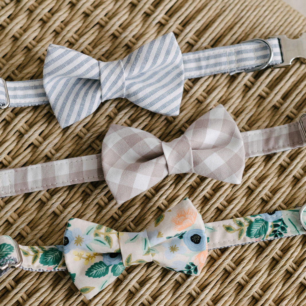 three dog collars with matching bows