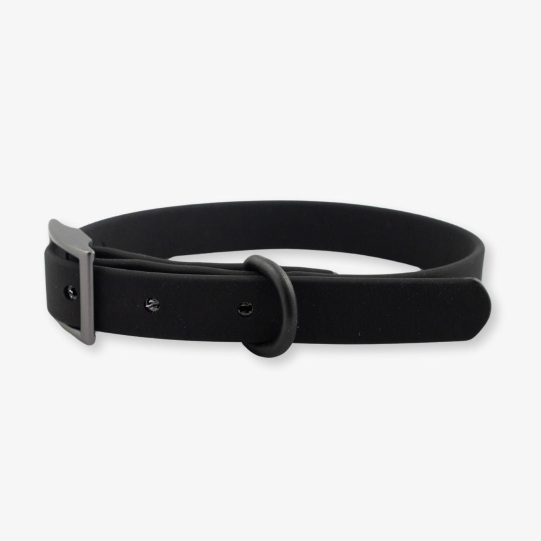 black waterproof dog collar