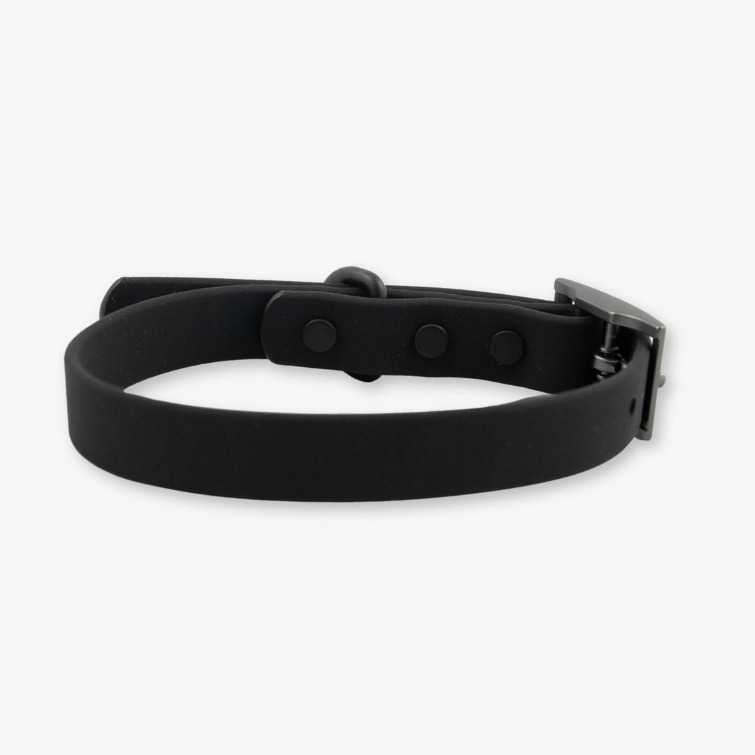 black waterproof dog collar