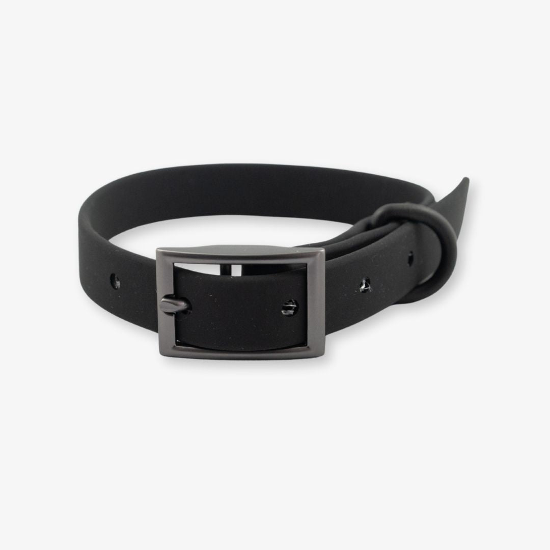 black waterproof dog collar