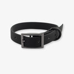 black waterproof dog collar