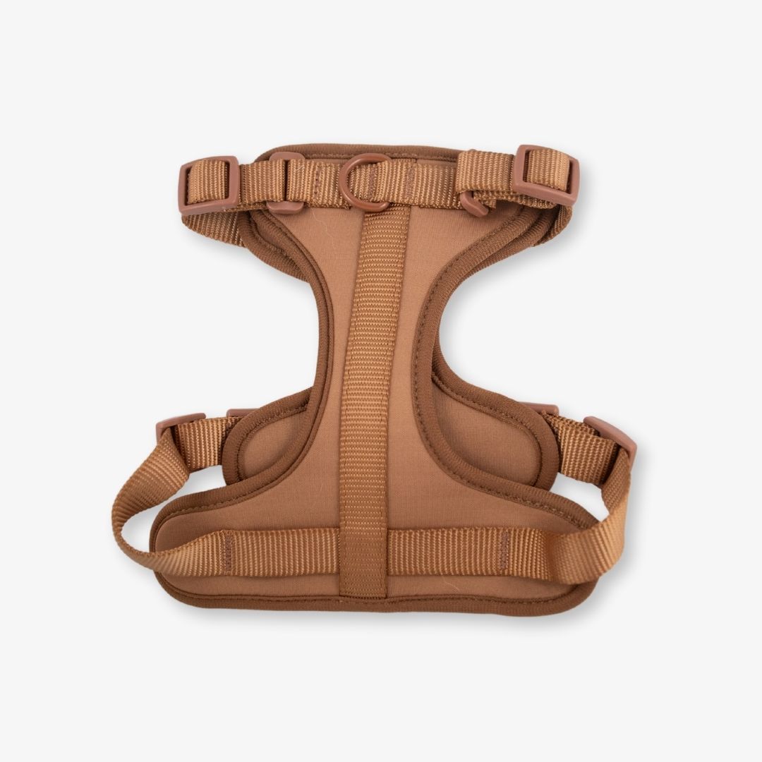 brown dog harness