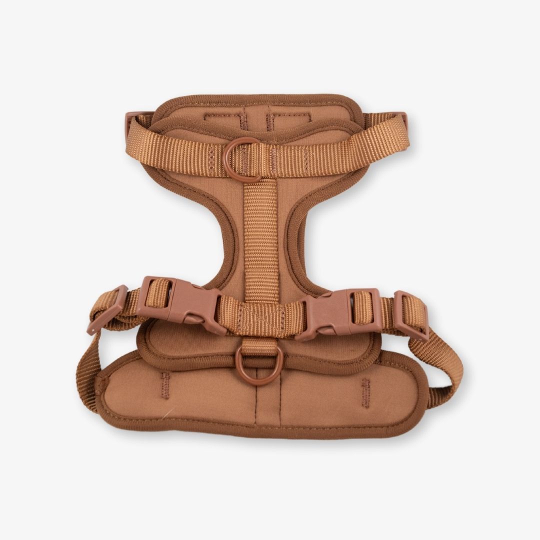 brown dog harness