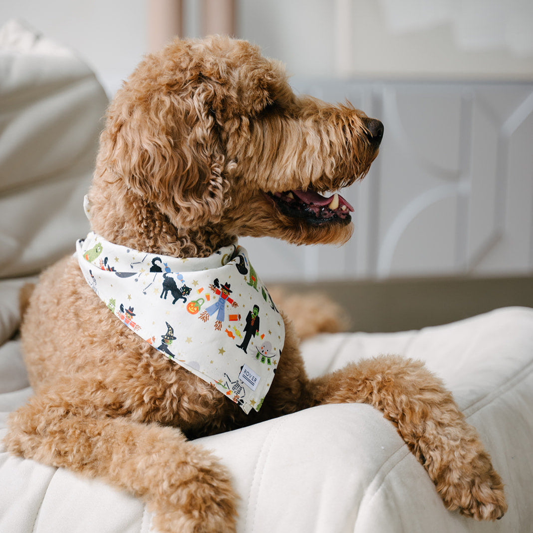 halloween dog bandana