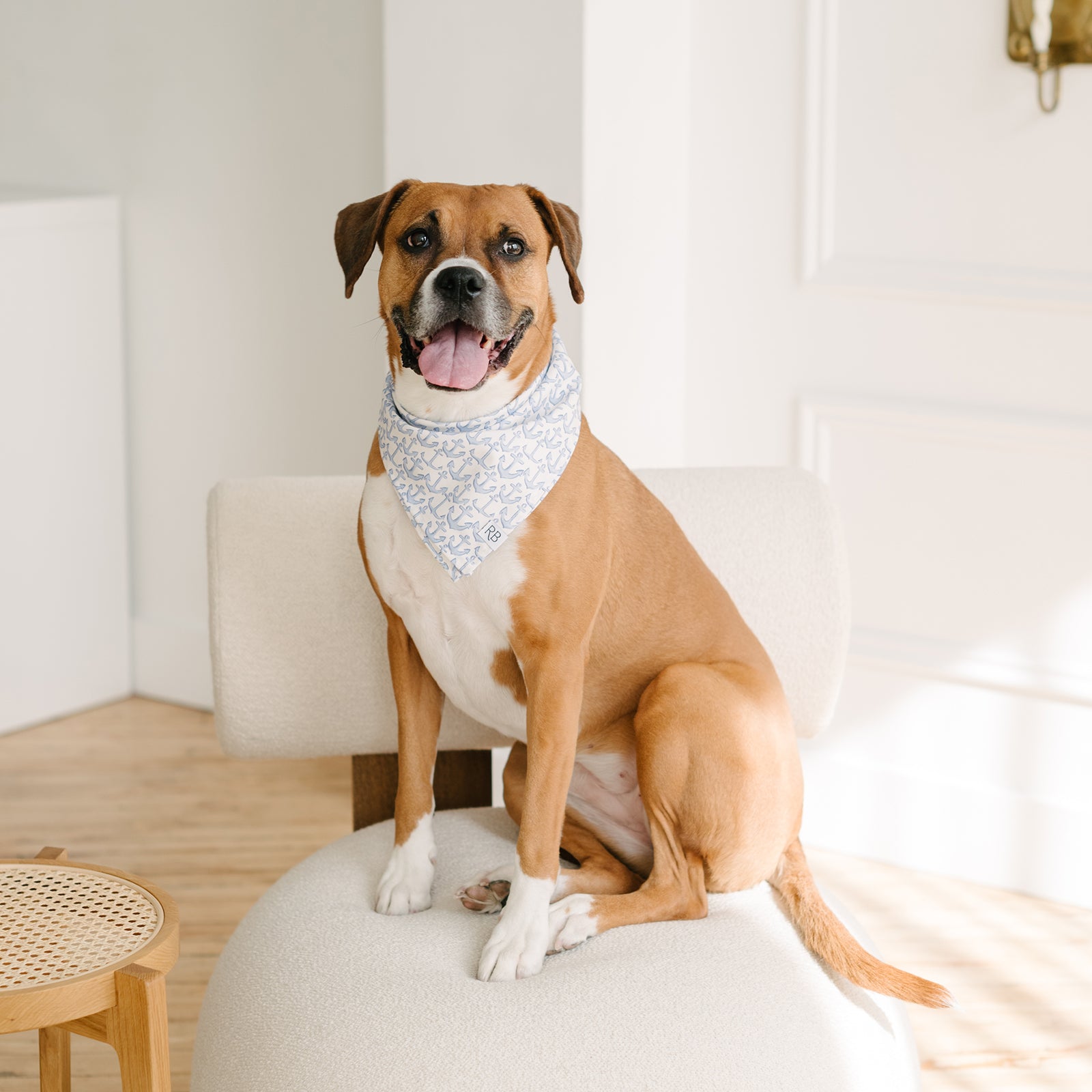 nautical anchor dog bandana