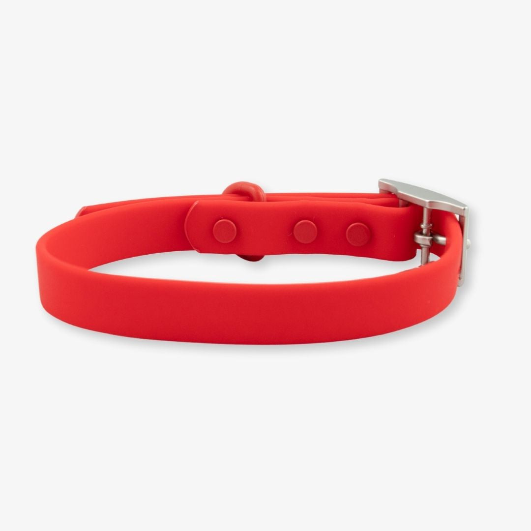 red waterproof dog collar