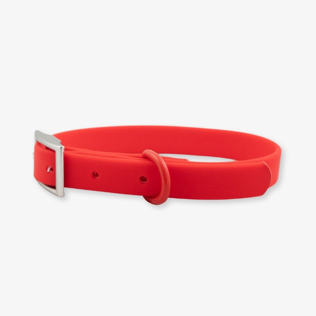 red waterproof dog collar