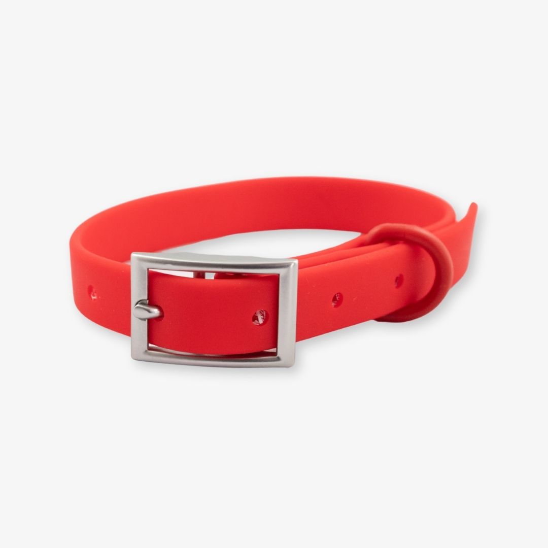 red waterproof dog collar