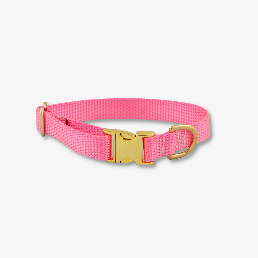 pink dog collar