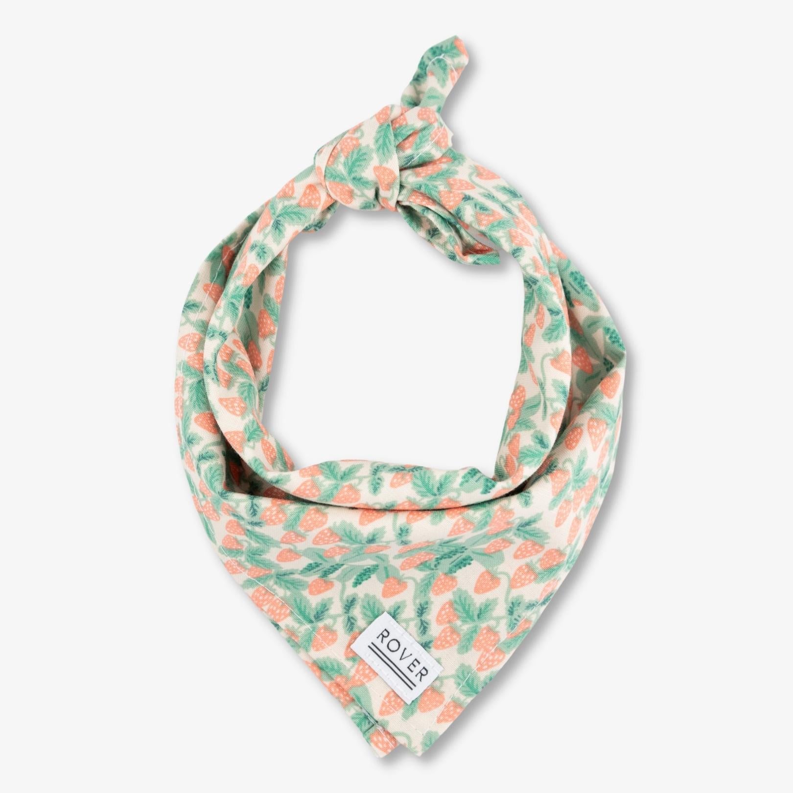 strawberry dog bandana