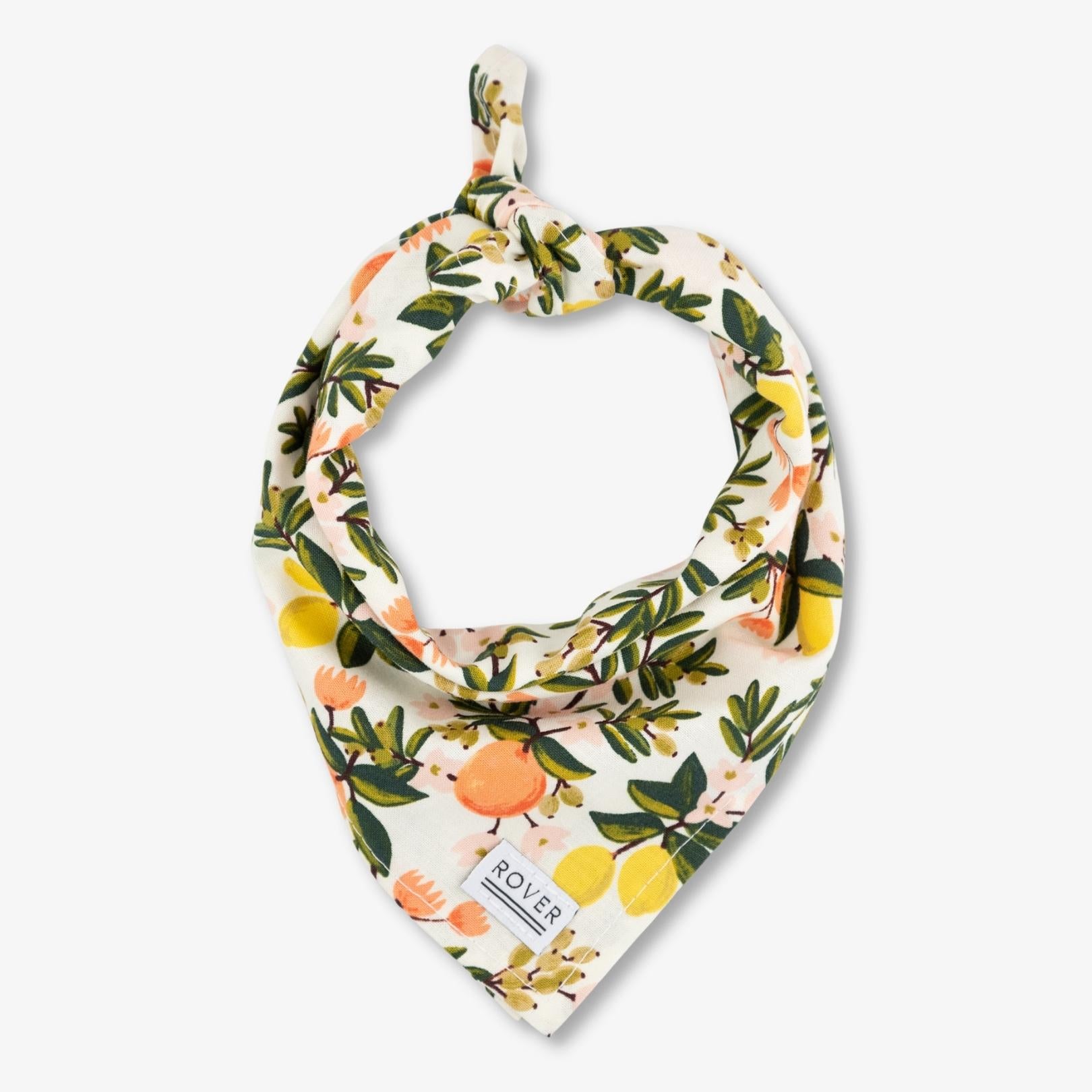 citrus dog bandana