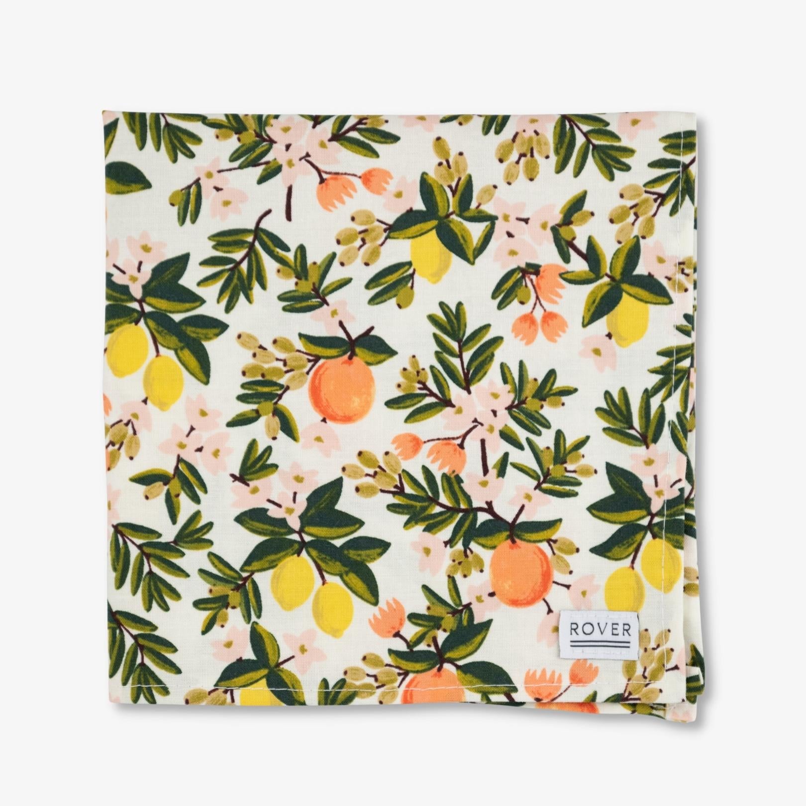 citrus dog bandana