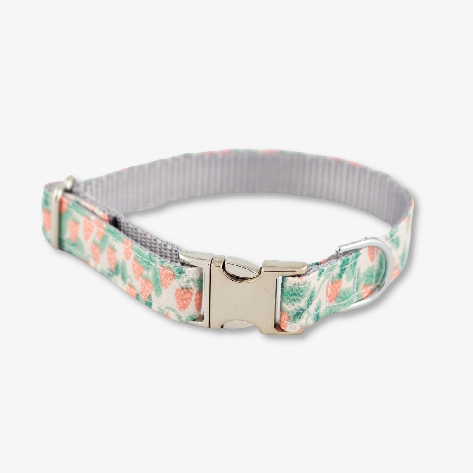 strawberry dog collar