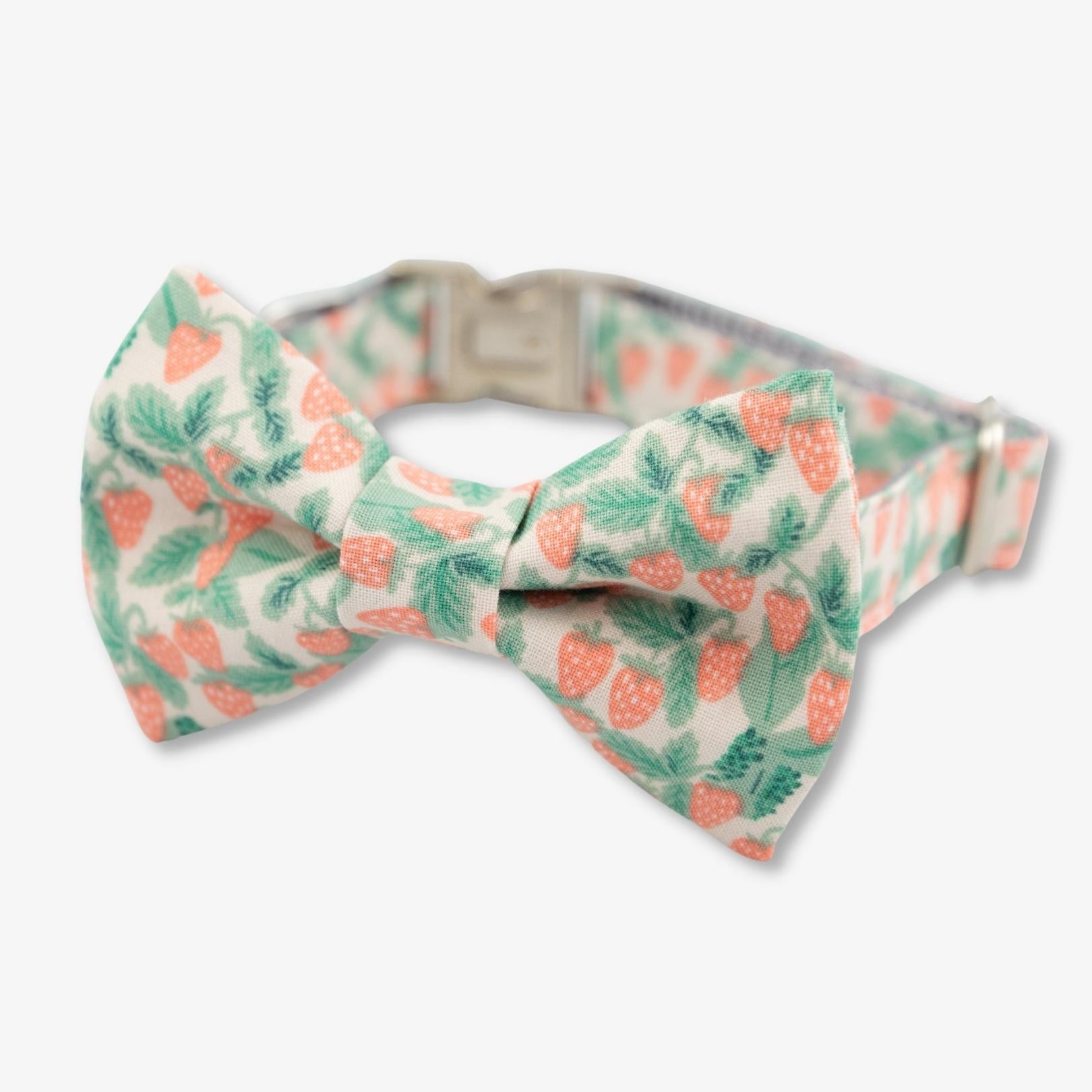 strawberry bow tie dog collar