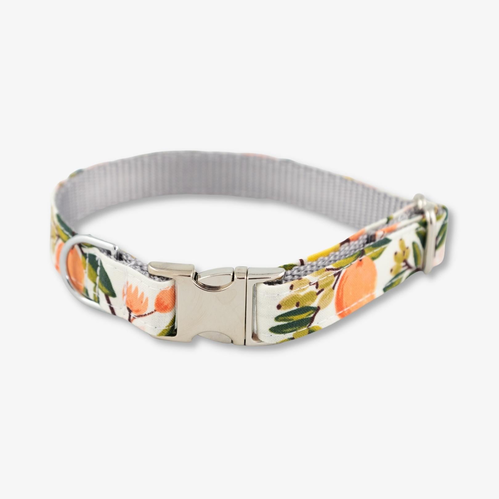 citrus dog collar