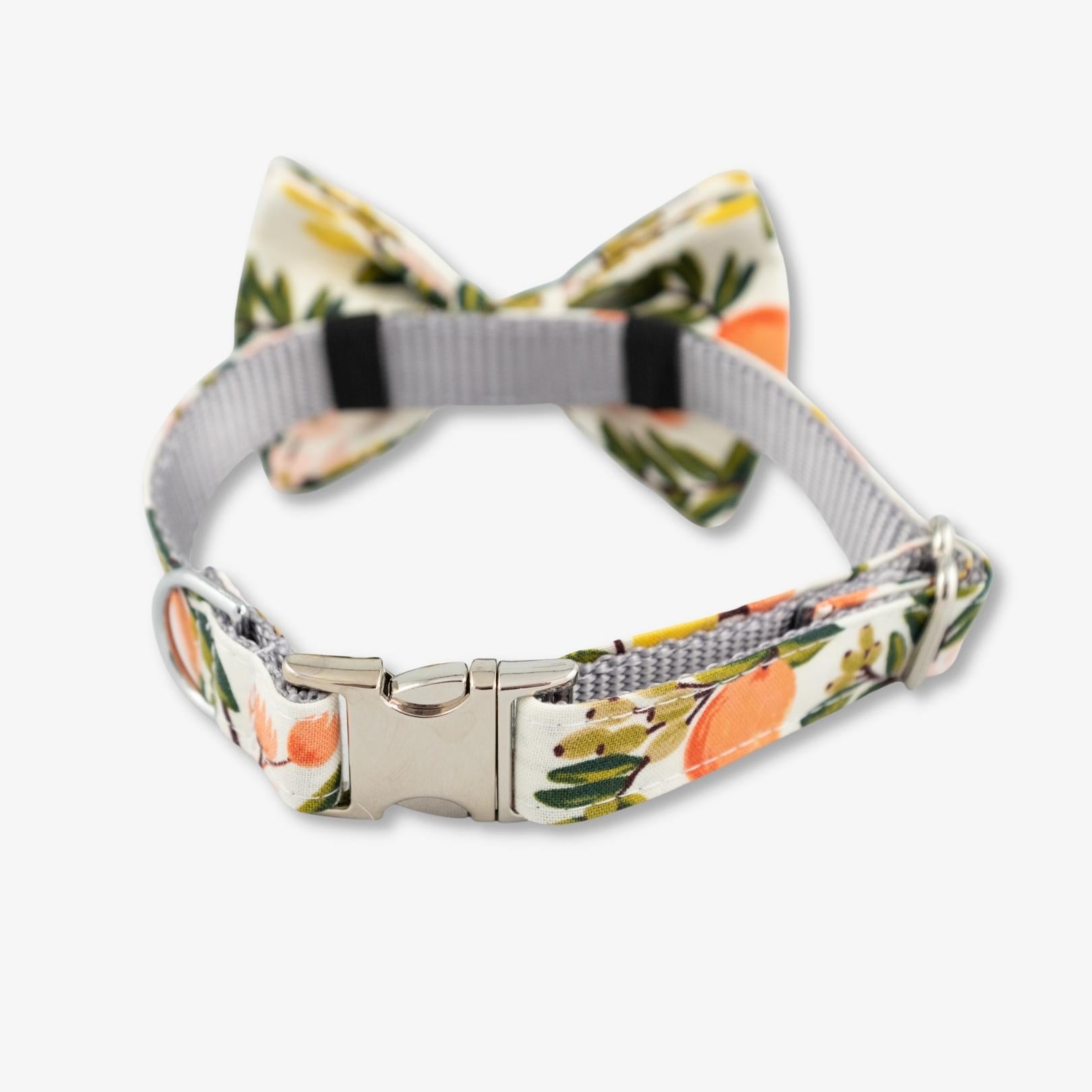 citrus bow tie dog collar