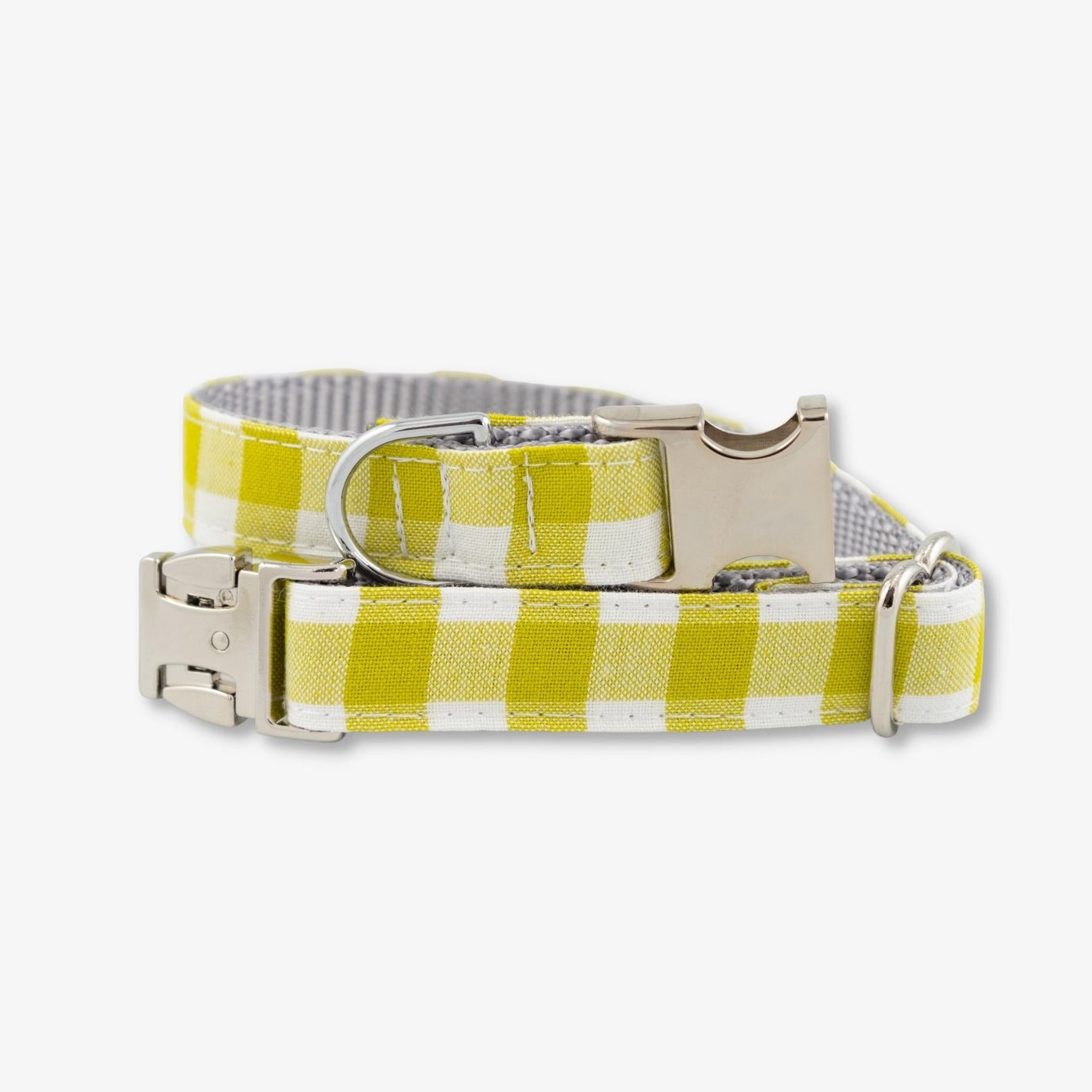 lime gingham dog collar