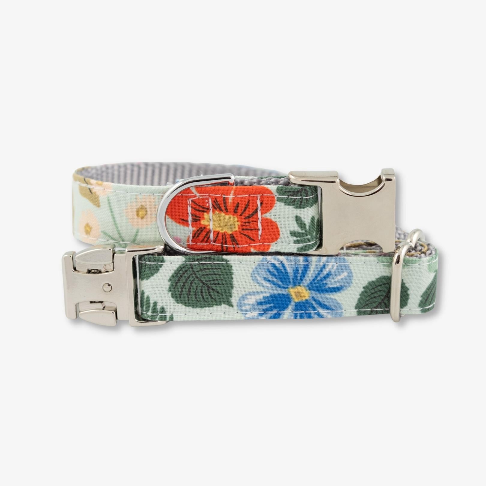 rifle paper co dog collar