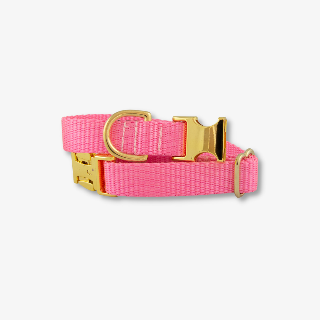 pink dog collar