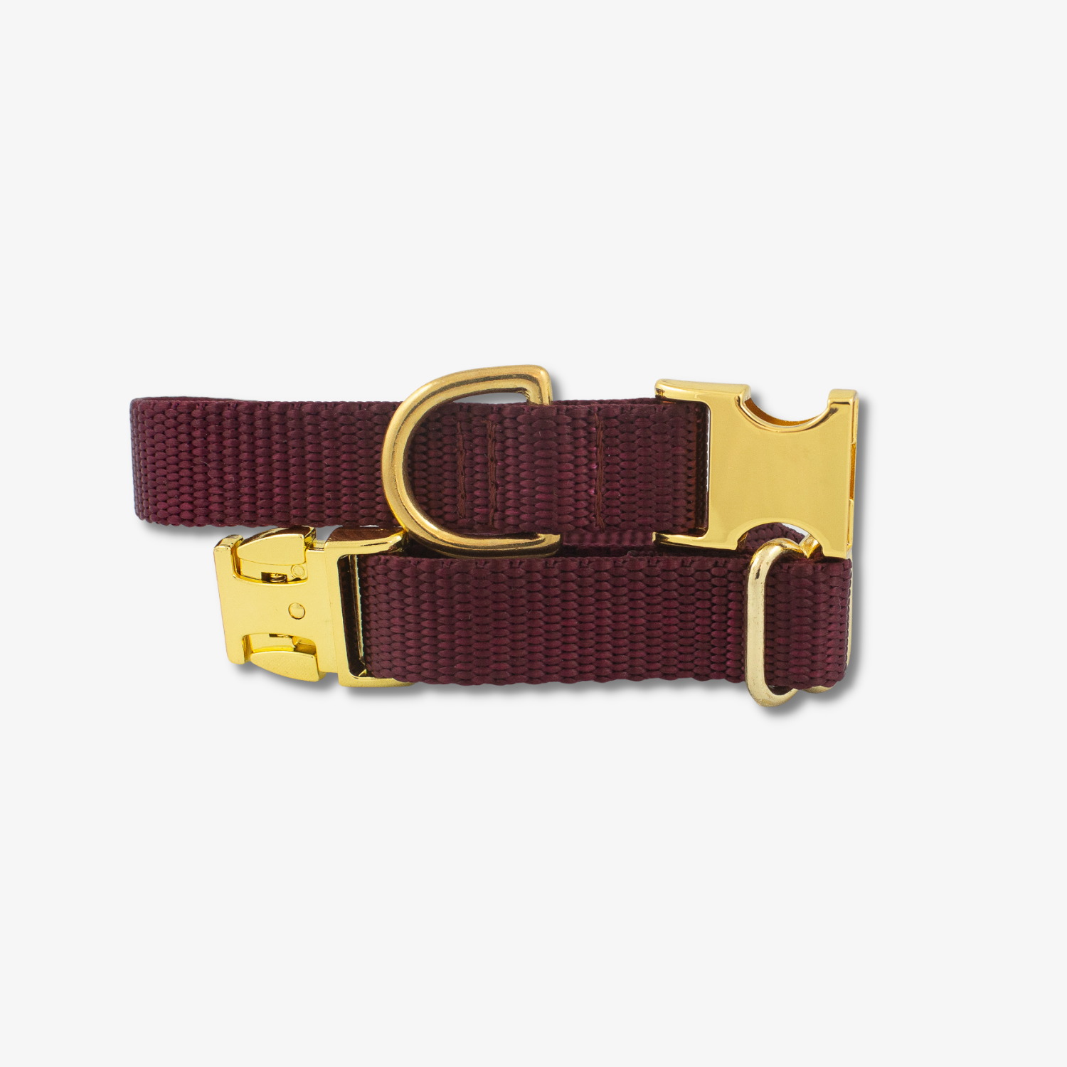 burgundy dog collar with gold buckles