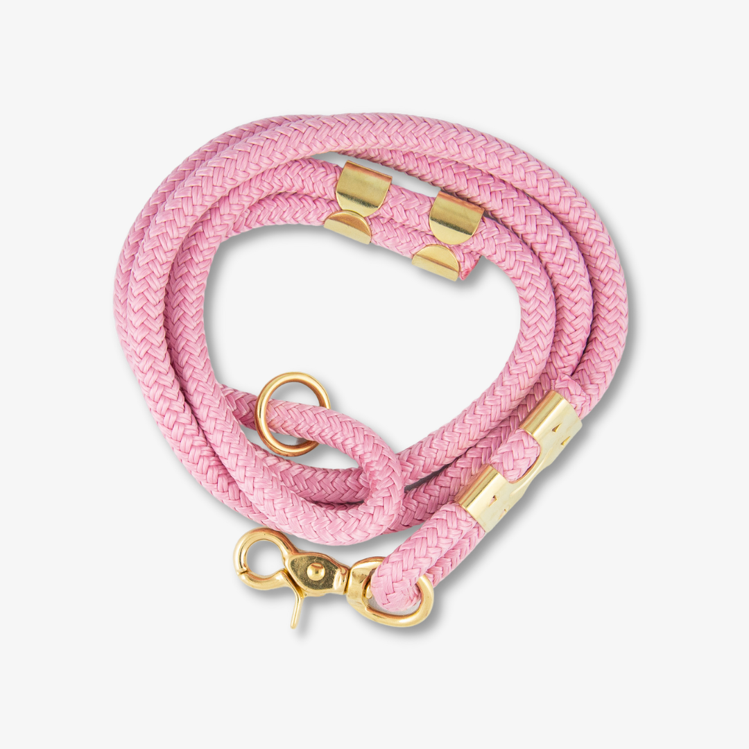 pink rope dog leash